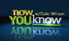 Now You Know W/Dale Wilson (2016) - Stream Online