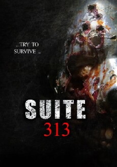 Suite 313 (2017) - Stream Online
