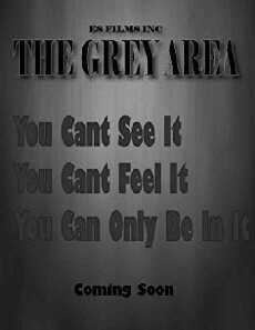The Grey Area (2017) - Stream Online