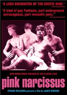 Pink Narcissus (1971) - Stream Online
