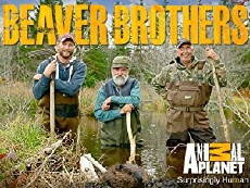 Beaver Brothers (2014) - Stream Online