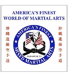 Americas Finest World of Martial Arts (2017) - Stream Online