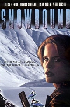 Showdown im Schnee (2001) - Stream Online