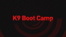 K9 Bootcamp (2003) - Stream Online