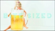 Bite Sized (2013) - Stream Online