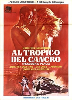 Inferno unter heißer Sonne (1972) - Stream Online
