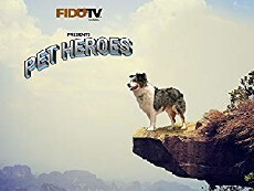 Pet Heroes (2010) - Stream Online