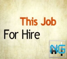 This Job for Hire (2013) - Stream Online