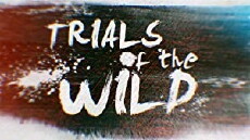 Trials of the Wild (2018) - Stream Online