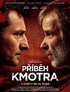 Príbeh kmotra (2013) - Stream Online