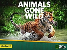 Animals Gone Wild (2014) - Stream Online