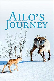 Ailo: Une odyssée en Laponie (2018) - Stream Online