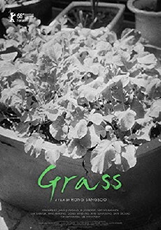 Grass (2018) - Stream Online