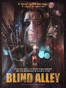 Blind Alley - Im Schatten lauert der Tod (2011) - Stream Online