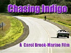 Chasing Indigo (2000) - Stream Online