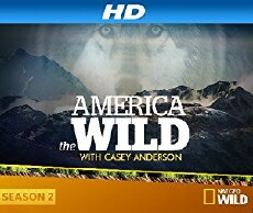 America the Wild (2013) - Stream Online