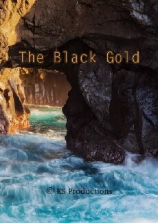 The Black Gold (2016) - Stream Online