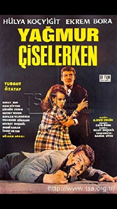 When the Rain Falls (1967) - Stream Online