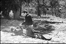 Roamin' Wild (1936) - Stream Online