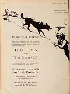 The Silent Call (1921) - Stream Online