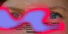 The Common Sense (2014) - Stream Online