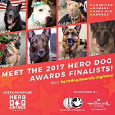 2017 Hero Dog Awards (2017) - Stream Online
