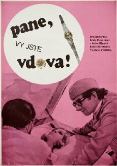 You Are a Widow, Sir (1971) - Stream Online