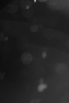 Noctiflora (2017) - Stream Online