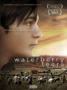 Waterberry Tears (2013) - Stream Online