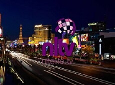 Nitelife TV (2008) - Stream Online