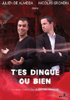 T'es dingue ou bien (2009) - Stream Online