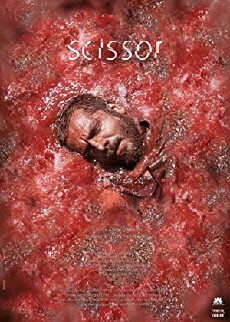 Scissor (2016) - Stream Online