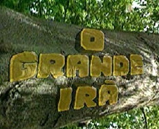 O Grande Irã (1994) - Stream Online