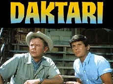 Daktari (1966) - Stream Online