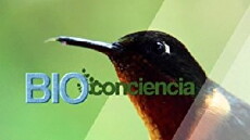 Bioconciencia (2016) - Stream Online