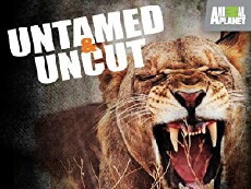 Untamed & Uncut (2008) - Stream Online