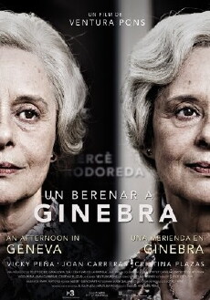 An Afternoon in Geneva (2013) - Stream Online