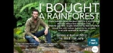 I Bought a Rainforest (2014) - Stream Online