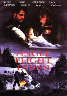 Angel Flight Down (1996) - Stream Online