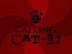 Calling Cat-22! (2008) - Stream Online