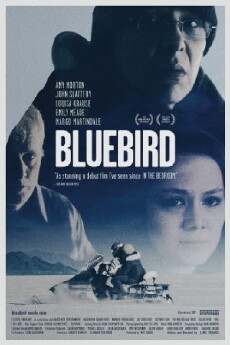 Bluebird (2013) - Stream Online