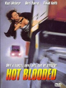 Schwarzes Leder, heißes Blut II (1997) - Stream Online