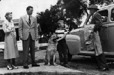 Night Wind (1948) - Stream Online