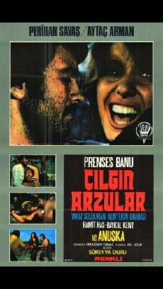 Çilgin Arzular (1974) - Stream Online