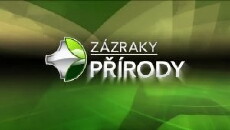 Zázraky prírody (2009) - Stream Online