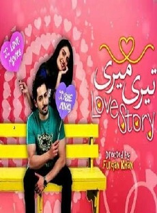 Tery Mery Love Story (2016) - Stream Online