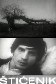 Sticenik (1973) - Stream Online