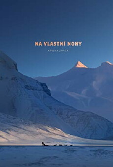 Na vlastní nohy (2018) - Stream Online