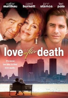 The Marriage Fool (1998) - Stream Online