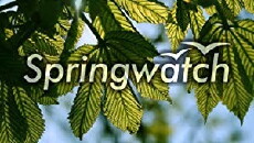Springwatch (2005) - Stream Online